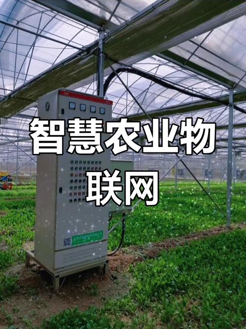 物聯網科技助力石家莊欒城區農林科技園區實現智慧農業新跨越