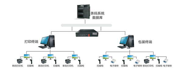 濟源SFC潤思領航科技 服務市場推廣的網頁與網站設計策略